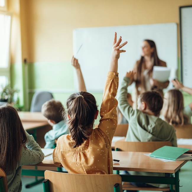 Cabecera-Educacion areas de conocimiento