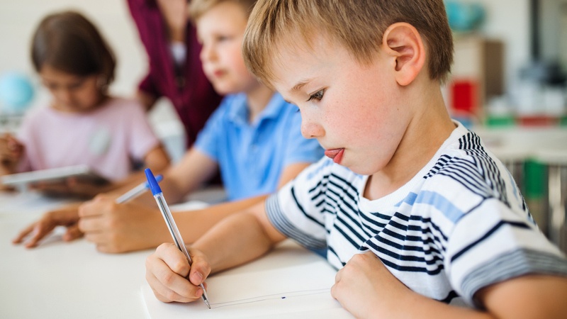 Psicopedagogía. Tipos de pedagogía. 