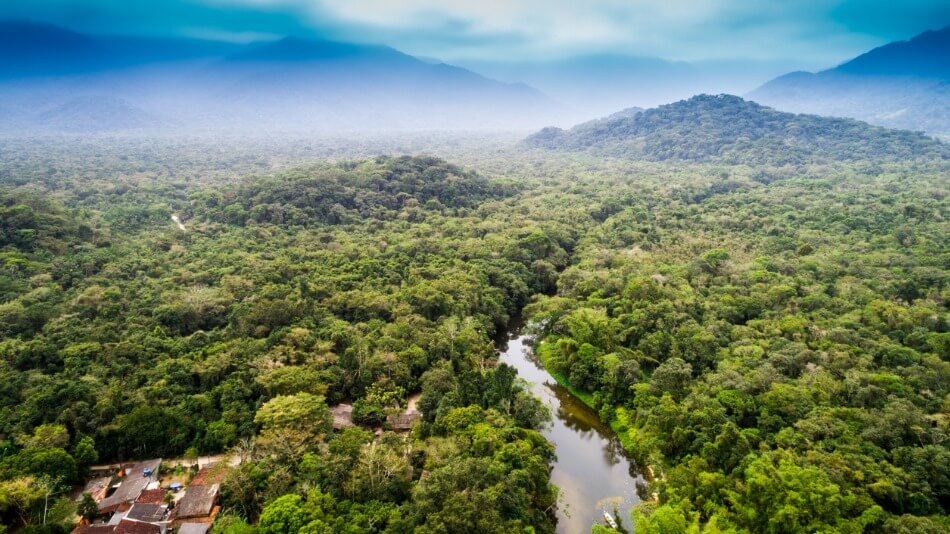 niveles de organizacion que estudia la ecologia