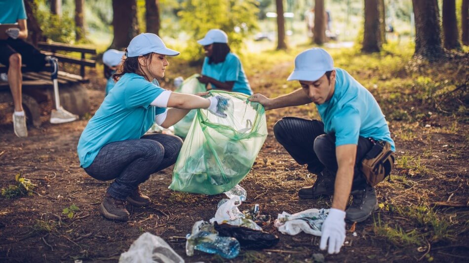 qué estudia la ecología