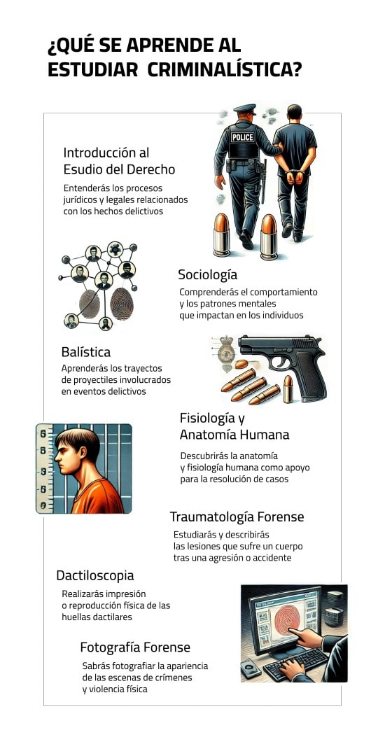 Áreas de estudio de la criminalística