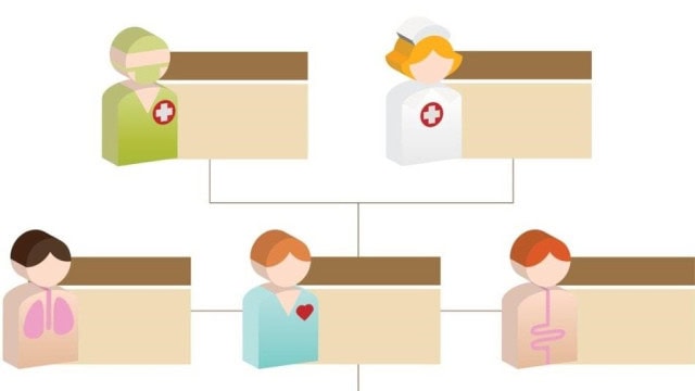El Organigrama en Enfermería: ¿Cómo se organiza?