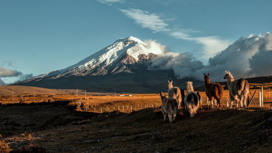 Fotografía artística panorámica del Parque Nacional Cotopaxi, Ecuador