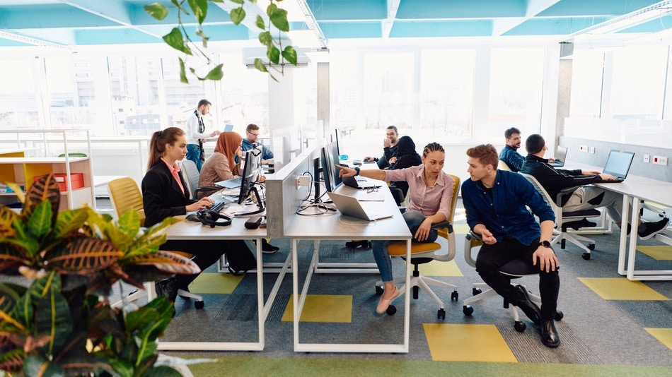 El salario en las diferentes ramas de la informática no es uniforme