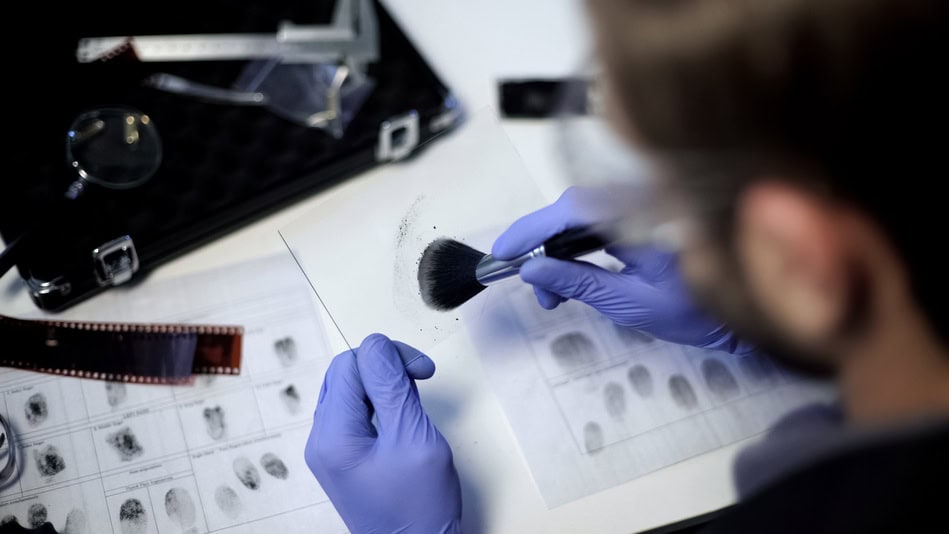 Cuando hablamos de las ramas de la criminología, nos referimos a los distintos enfoques que posibilitan comprender el delito, sus causas y consecuencias desde perspectivas variadas