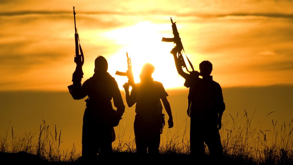 La psicología del terrorismo es una rama de esta ciencia que analiza las causas, procesos y consecuencias del comportamiento terrorista desde una perspectiva individual y colectiva