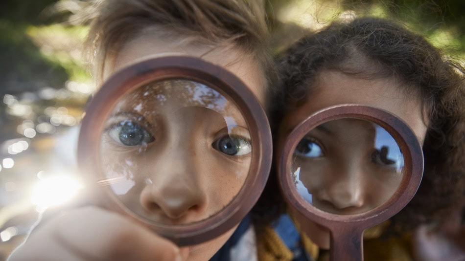 Fomentar las inteligencias múltiples naturalistas implica crear experiencias de aprendizaje que conecten al estudiante con la naturaleza