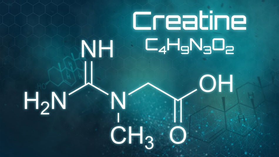 La creatina es una sustancia natural que el cuerpo produce a partir de aminoácidos y que se almacena, sobre todo, en los músculos
