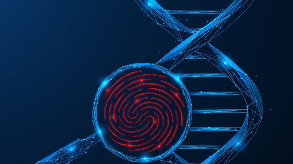 El origen genético de la población ecuatoriana varía notablemente de una región a otra