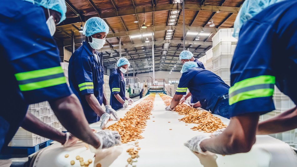 Para ser inspector de calidad alimentaria, necesitas una base t&eacute;cnica s&oacute;lida vinculada a ciencias de la salud, procesos industriales o producci&oacute;n alimentaria