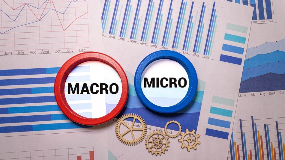 Estudiar el microentorno y el macroentorno de una empresa permite identificar oportunidades de crecimiento
