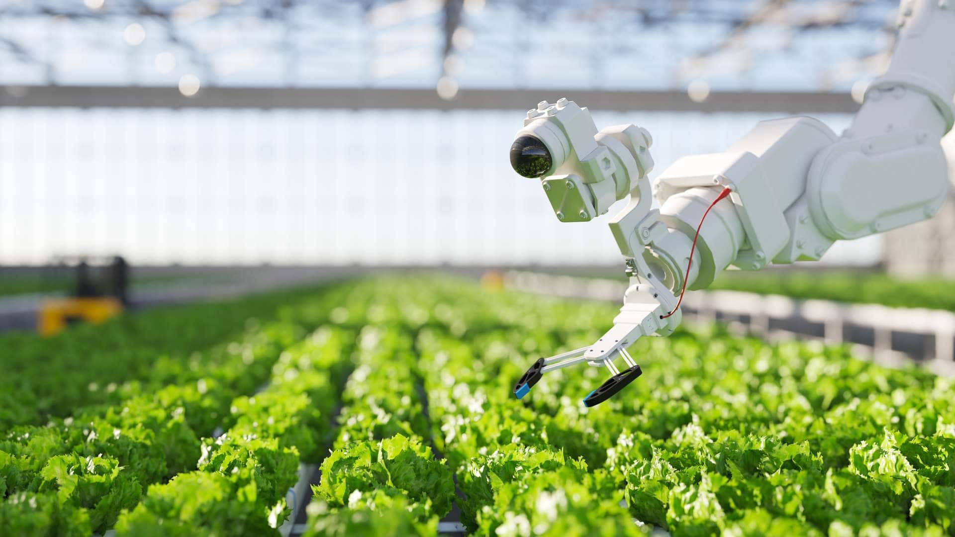 Máster Universitario en Tecnología para el Sector Agroalimentario