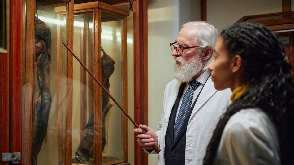 El perfil de un historiador del arte se enfoca en interpretar obras, estudiar contextos, documentar patrimonio