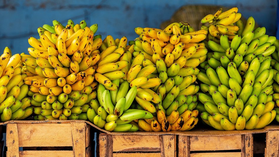 una de las áreas de trabajo de un técnico alimentario puede ser una empresa de exportación agroalimentaria