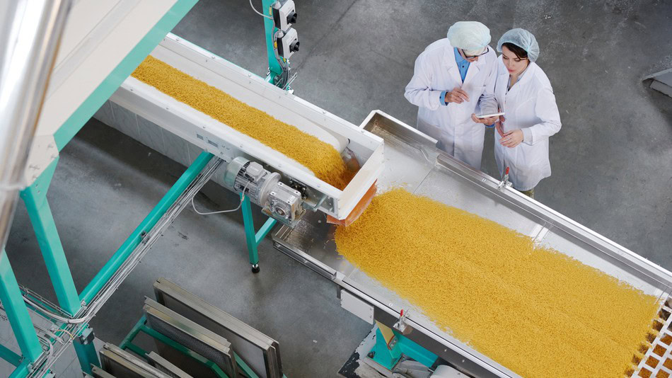 Trabajar como técnico alimentario significa cuidar que cada etapa, desde la recepción de materias primas hasta el almacenamiento o control final, cumpla las condiciones adecuadas de higiene, calidad e inocuidad