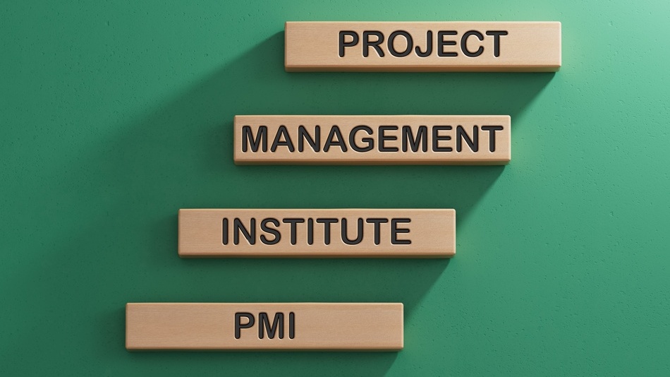 El PMI (acr&oacute;nimo de Project Management Institute) agrupa las capacidades profesionales de la direcci&oacute;n de proyectos