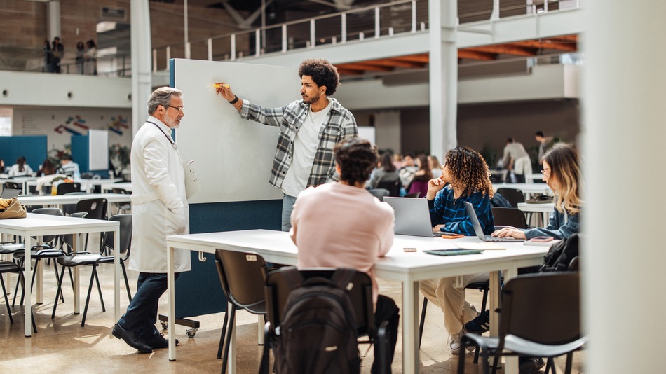 El principal objetivo de las estrategias de enseñanza es facilitar que los estudiantes construyan conocimientos, desarrollen habilidades y sean capaces de aplicar lo aprendido en diferentes situaciones