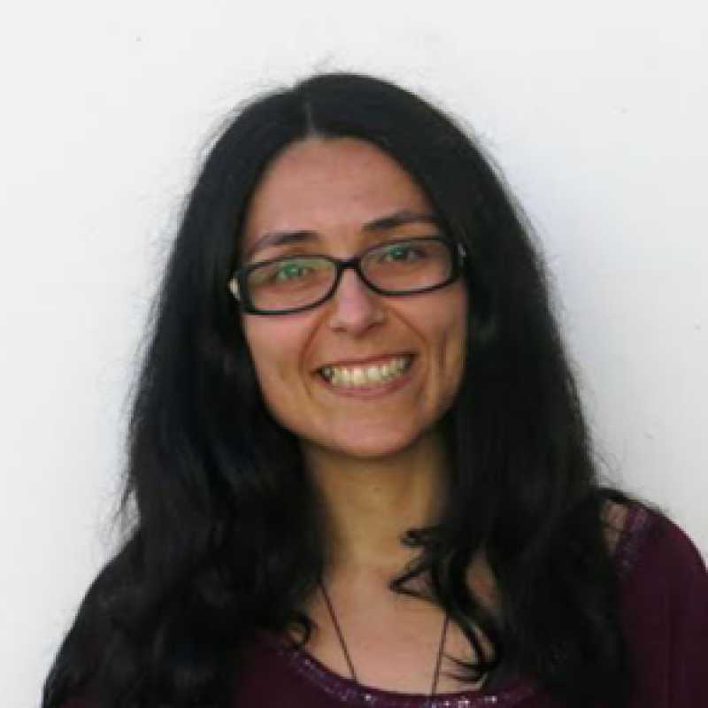 Alessia Fattorini Vaca, Docente UNIR