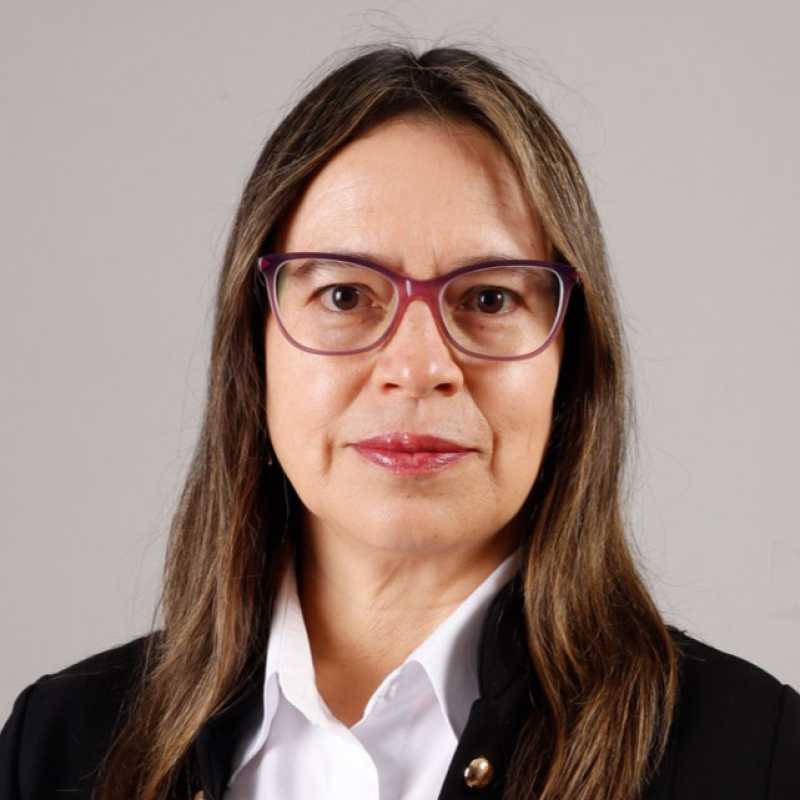 Ana Jeaneth Andino Granja, Experta asociada