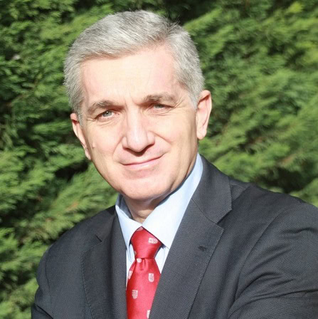 Antonio de la Peña Zarzuelo, Docente UNIR