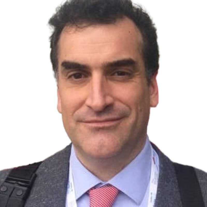 Daniel Arnal Velasco, Experto asociado