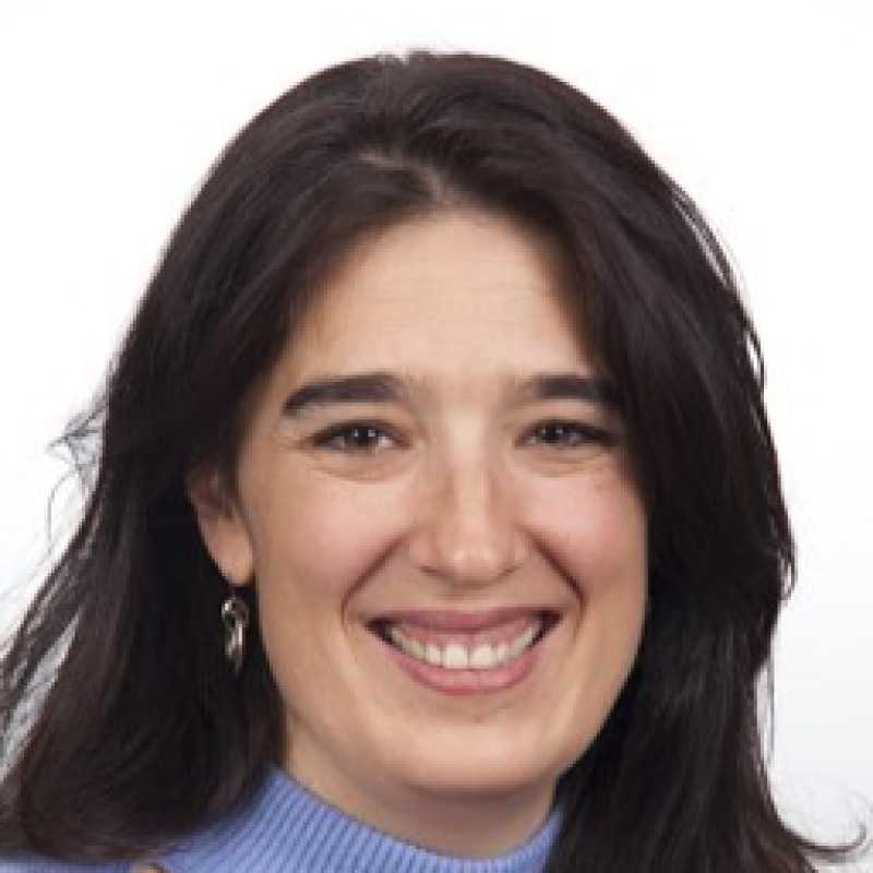 Elena Menor Ayllón, Experta Asociada