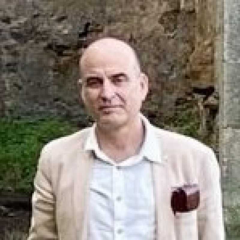 Ernesto Pérez Zúñiga, Docente UNIR