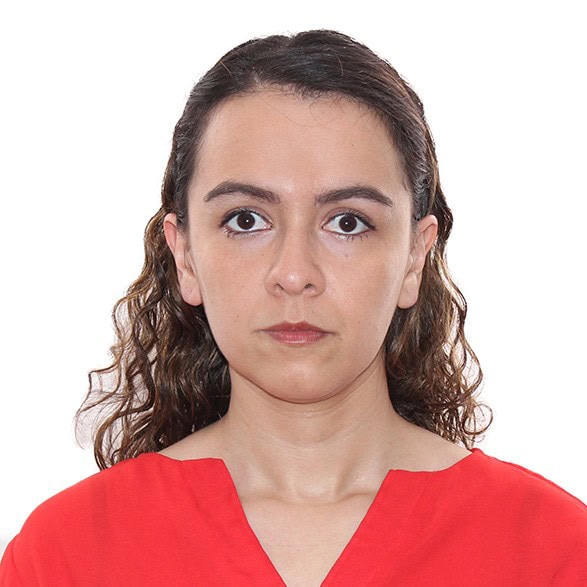 Evelyn Suceth Santamarina Mejía, Experto asociado