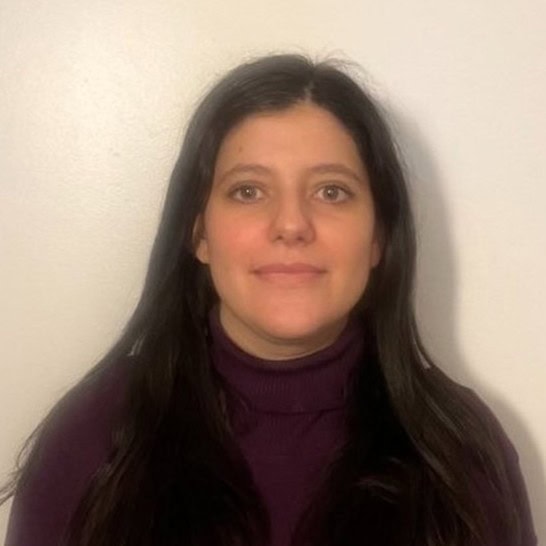 Helena Sandoval Insausti, Experto asociado