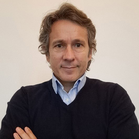 Hugo Navarro Julvez, Director académico