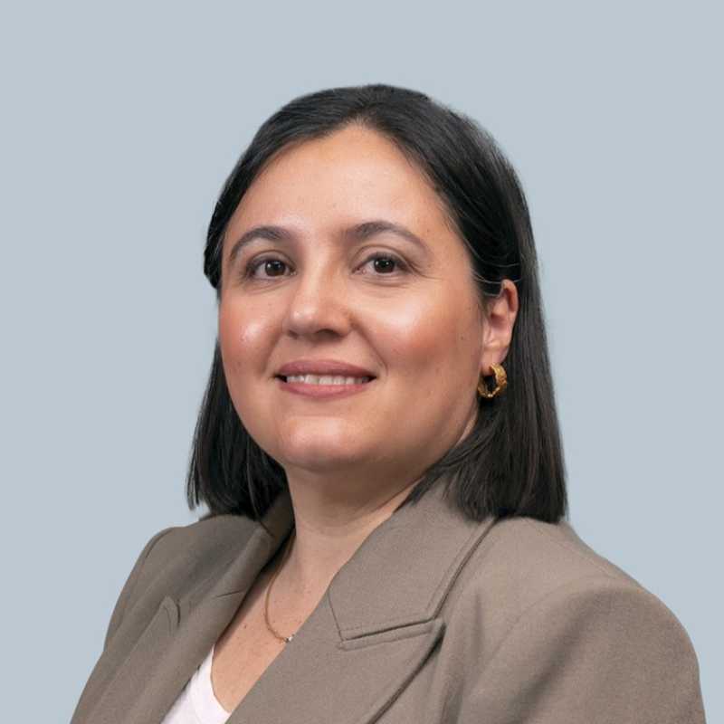Isabel Hidalgo Galache, Experta asociada