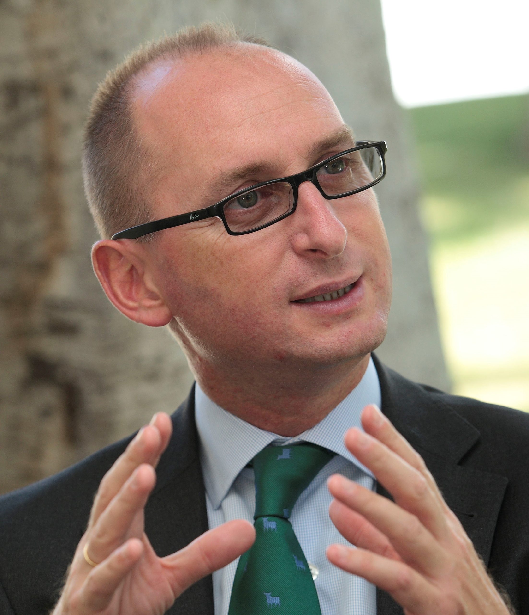 José Luis Jiménez Fajardo, Experto Asociado