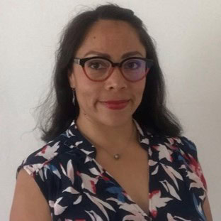 Laura Marina Soberanis Solís, Profesor