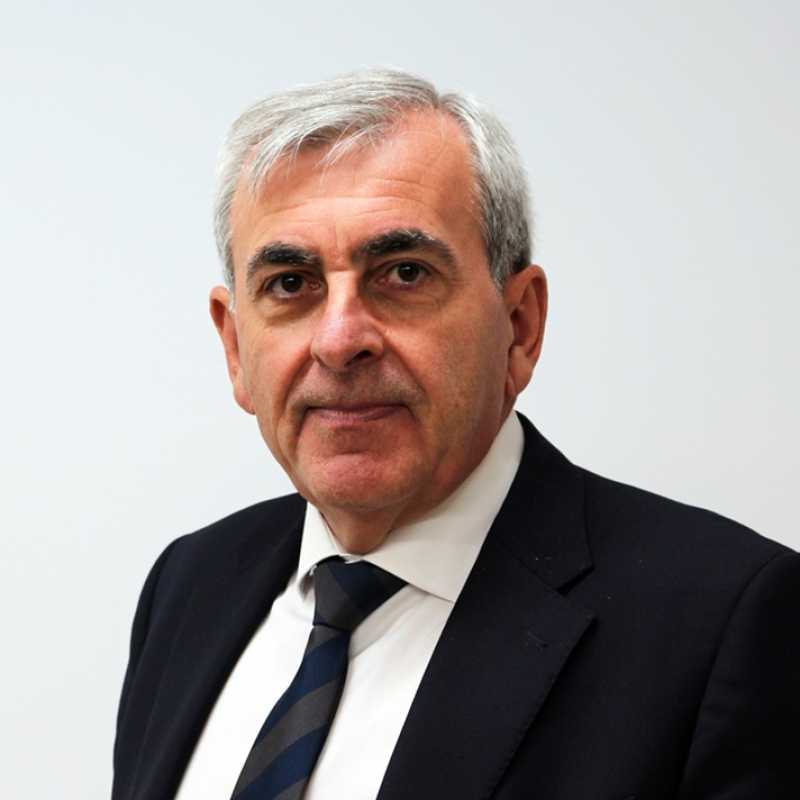 Lisandro Garcia Rodulfo, Experto asociado