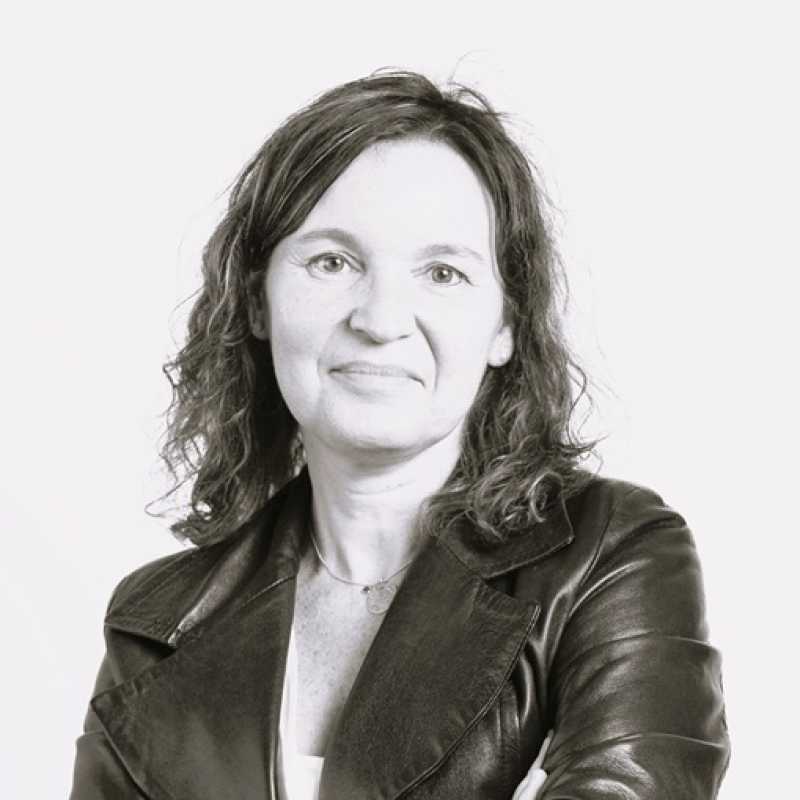 María Jesús Rico Martínez, Experta asociada