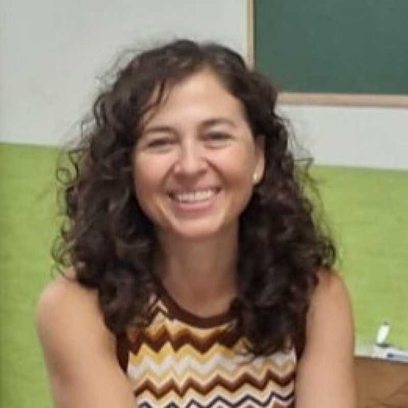 María José Castaño Reyero, Profesora