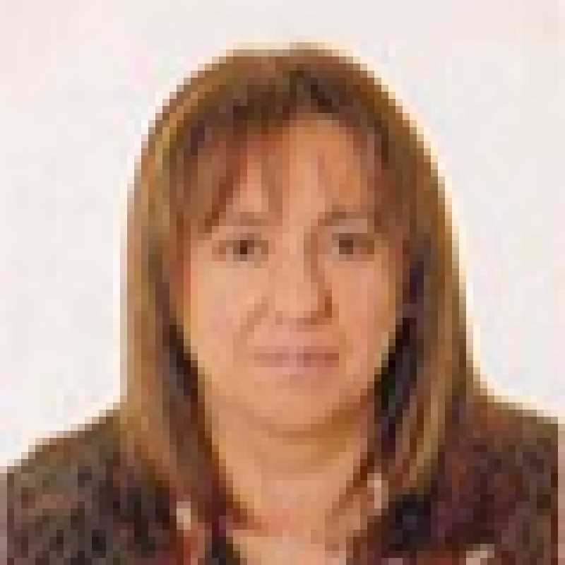 María José Otazu Serrano, Profesora
