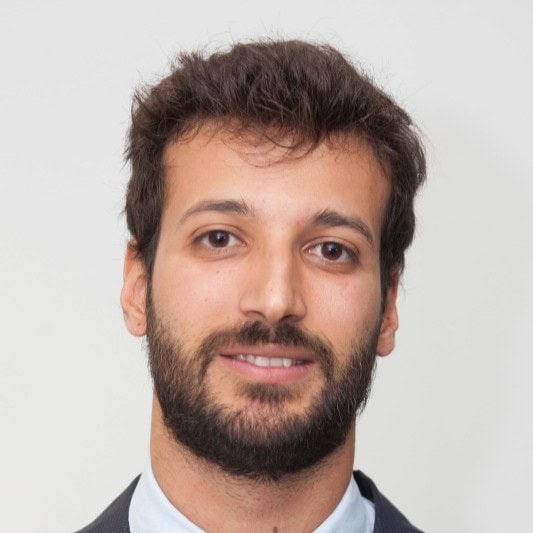 Pablo Castillo Rovira, Experto asociado