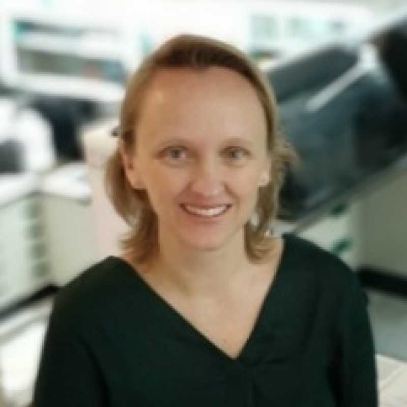 Teresa Perucho Alcalde, Docente UNIR