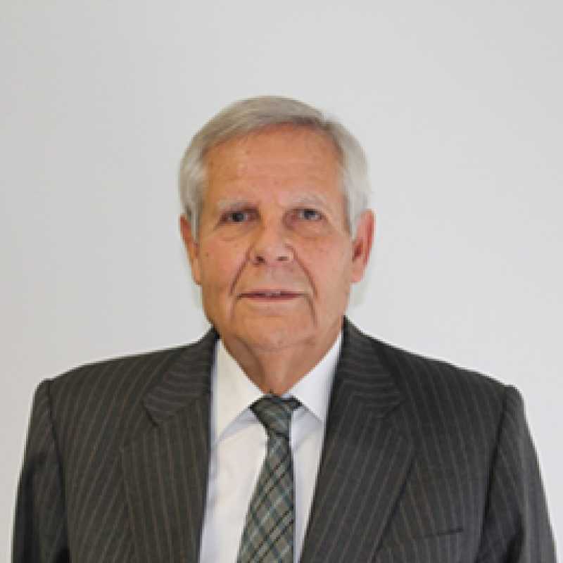 Yago Pico de Coaña de Valicourt, Experto Asociado